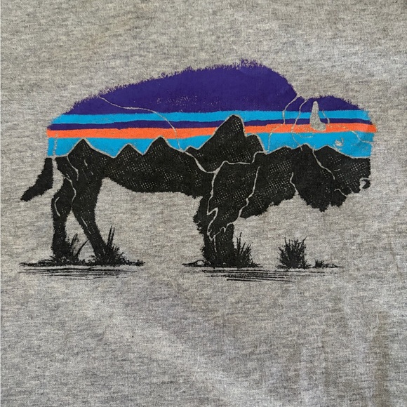 Patagonia Fitz Roy Bison Ahnya Crew Sweatshirt - Picture 7 of 8